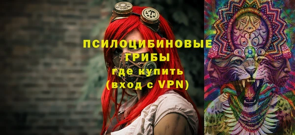 прущий лед Магас