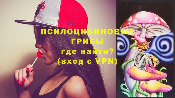прущий лед Магас