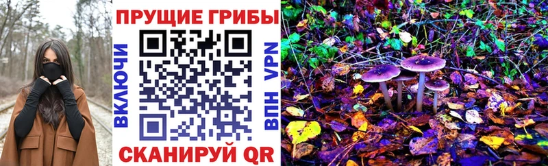 где купить Берёзовка Галлюциногенные грибы MAGIC MUSHROOMS